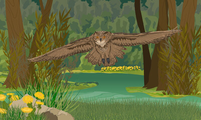 Eagle owl flies over a large green forest swamp in a dark dense forest. Wild birds of the forest. Realistic vector landscape