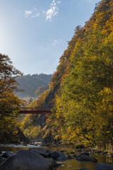 日本　北海道札幌市南区定山渓の二見吊橋と紅葉