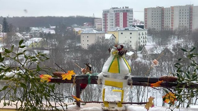 Woodpecker eats a piece of bacon and salo against the backdrop of a winter landscape.