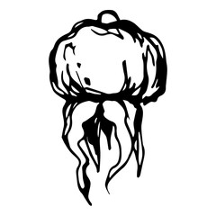 Hand drawn black rosehip. Vintage rosehip, great design for any purposes.