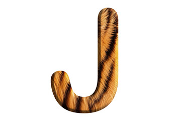 Letter J shape made of tiger fur or tiger skin, isolated on PNG transparent background, suitable for template design