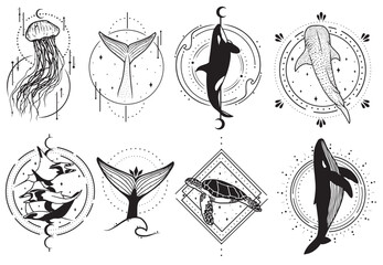 Set of minimalistic ocean creatures line arts with abstract backgrounds, vector art collection © Edyta.artdiary