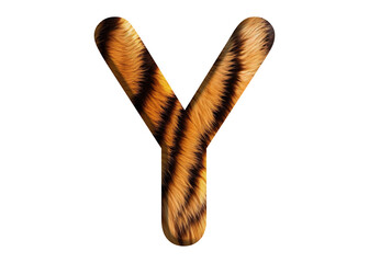 Letter Y shape made of tiger fur or tiger skin, isolated on PNG transparent background, suitable for template design