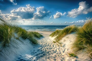 Panoramic beauty of a dune beach