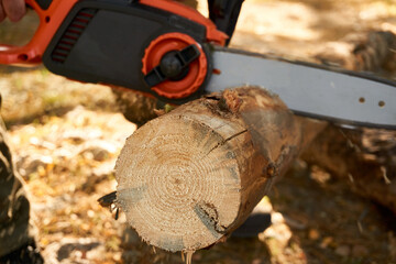 Closeup of an orange electric chainsaw cutting through a thick log of wood 