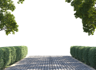 pathway in garden with green hedge and tree