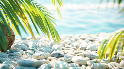 Fototapeta na wymiar Sunny tropical beach with Pebbles coconut trees palm