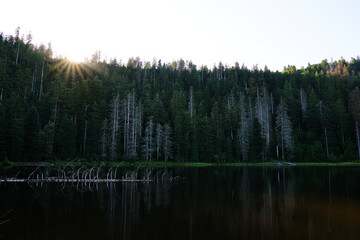 Schwarzwald, Wildsee, See, Black Forest, Abend, Wald, Bäume, Wasser, Wandern, Naturpark,...