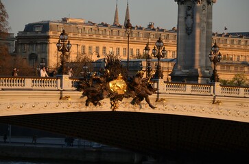 The famous Alexandre III Bridge at sunset in Paris, France