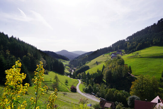 Bad Peterstal-Griesbach, Bad Peterstal Griesbach, Ortenau, Renchtal, Baden-W&uuml;rttemberg, Natur, Landschaft, Wanderweg, Himmelssteig, H&auml;user, Sommer, H&uuml;gel, Wiese, Tal