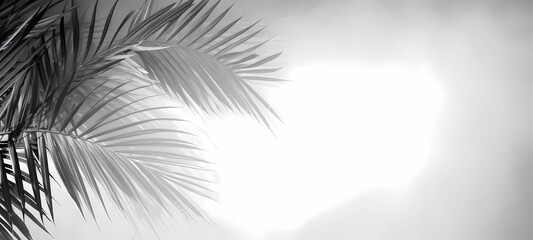 Tropical palm leaves on white background, Generative AI illustrations.