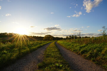 Ackerweg, Landschaft, Wiede, Acker, Sonne, Sonnenschein, Sommer, Baden-Württemberg, Renchtal,...