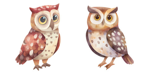 cute owl watercolour vector illustration