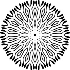 Title Mandala decorative round ornament. Can be used for greeting card, phone case print, etc. Hand drawn background, vector isolated on white.