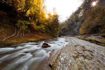 torrent automne