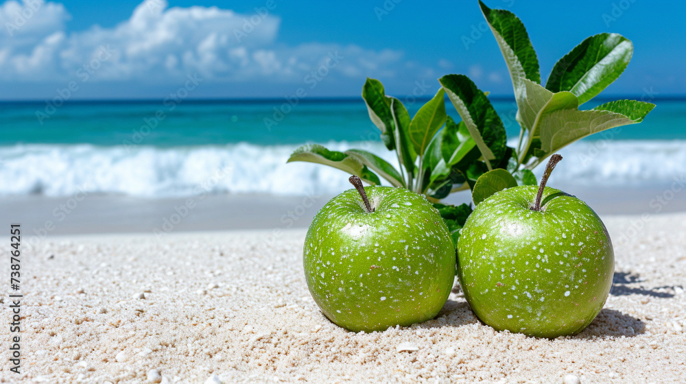 Canvas Prints coconut on the beach