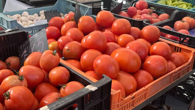 tomates en mercado de los domingos