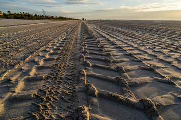 Tire tracks of large scale construction equipment in the sand on a beach restauration project,...