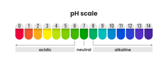 pH scale indicator color chart diagram acidic alkaline measure, litmus paper color chart with value number - obrazy, fototapety, plakaty