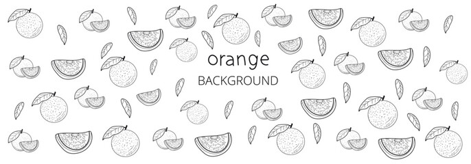 Orange fruit background, design element for packaging, banner, postcard, fabric, illustration sketch