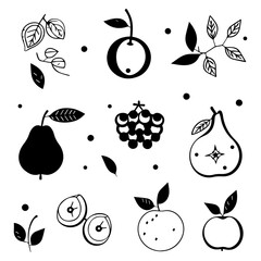 background with fruits