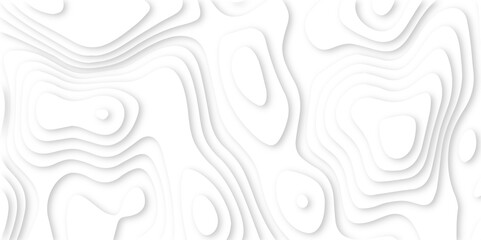 Abstract paper carve template. abstract colorful 3d papercut topography relief vector background illustration. topographic canyon geometric map relief texture with curved layers and shadow.