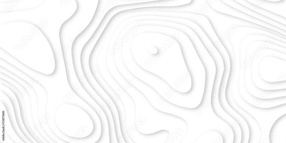 Poster Abstract paper carve template. abstract colorful 3d papercut topography relief vector background illustration. topographic canyon geometric map relief texture with curved layers and shadow.
