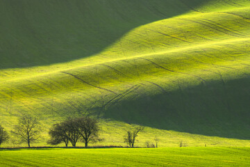 The beauty of Moravian Tuscany. Agricultural landscape of South Moravia. Sunset in the landscape. 
