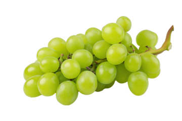 Fresh green grapes isolated