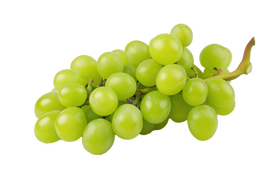 Fresh green grapes isolated