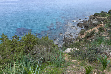View of Chrysochou Bay coast as seen from Aphrodite Nature (Circular) Trail on Akamas Peninsula,...