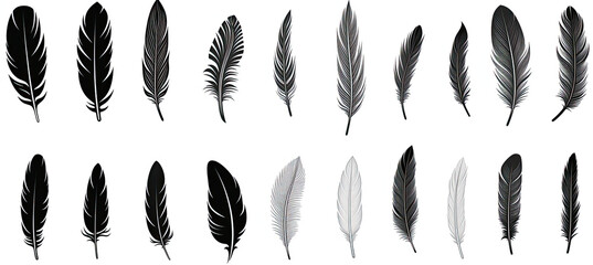Feather icons. Set of black feather Icons. isolated on white background