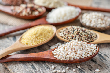 Closed up dry organic white barley seed pile in wooden spoon over blur background of variety cereal and grain seed, for healthy food ingredient and agricultural product concept