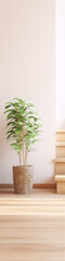 A ficus in a wicker pot stands on the floor near the stairs. - obrazy, fototapety, plakaty