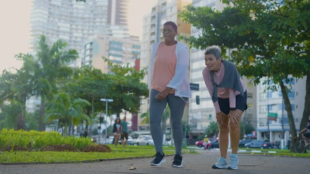 Elderly lesbian couple, stretching in preparation for morning routine workout or exercise together outside. Senior female friends having a warm up stretch for cardio training or exercising
