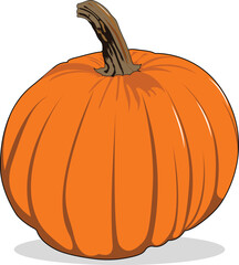 Pumpkin isolated on a white background cartoon style vector illustration