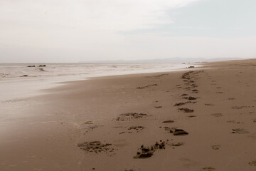 Footprints on the beach