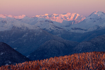 Manteau de neige et de sapins