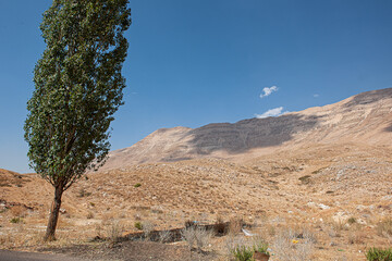 Landschaft bei "aux cèdres", Libanon