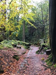 Wandern durch die Sächsische Schweiz