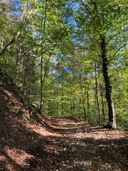 Wanderung durch die Sächsische Schweiz