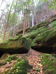 Wandern durch die Sächsische Schweiz