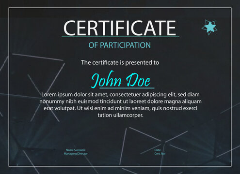 Distinguished Participation Achievement Certificate