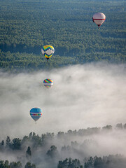 Colorful hot air balloons take off over the forest. Early summer morning. Low creeping fog. Balloon flight.