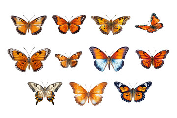 Set of isolated colorful butterflies of different species and colors on a transparent background.