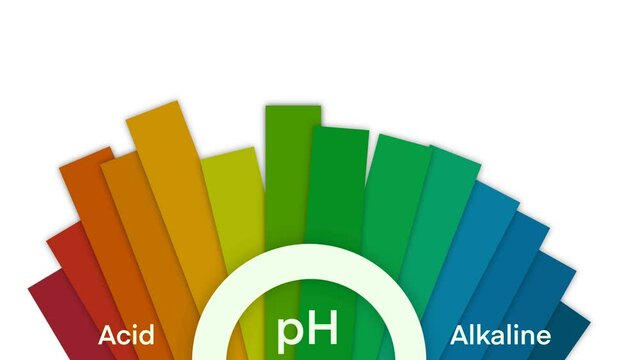 Ph scale diagram, Ph scale vector graphic, Acid to base, pH scale Infographic acid-base balance, Indicator diagram acidic alkaline measure, pH value scale chart for acid and alkaline solutions