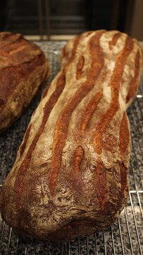 a chef makes bread in a bakery