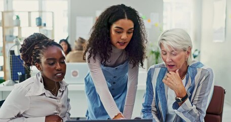Office, training and group of women on computer together for digital review, feedback or help with update. Brainstorming, teamwork and employees at laptop with online report, email and empowerment.