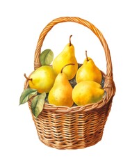 Watercolor illustration of ripe pears in wicker basket isolated on white background.