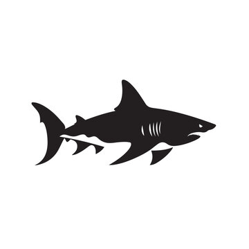 recommend clip art: shark silhouette